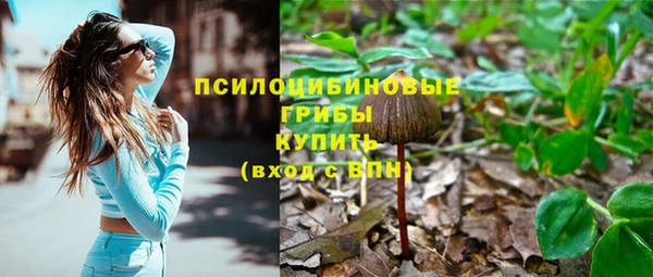 эйфоретик Переславль-Залесский