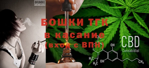 хмурый Балабаново